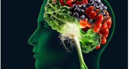 How to Improve Memory With Brain Boosting Foods