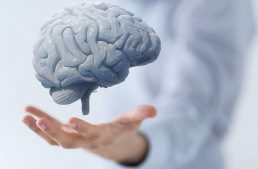 5 Of The Best Brain Health Supplements