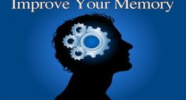 Top 10 Actions To Increase Your Memory