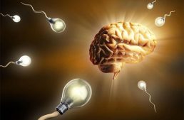 Brain Enhancement: How the Brain Uses Food As Its Energy