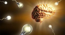 Brain Enhancement: How the Brain Uses Food As Its Energy